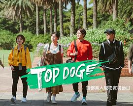 暗黑爆料网《TOP DOG》免费在线观看