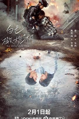 暗黑网《白色橄榄树》免费在线观看