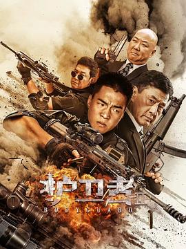 暗黑网《护卫者2》免费在线观看