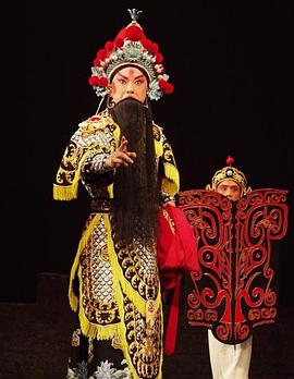 暗黑网《袁崇焕2009》免费在线观看