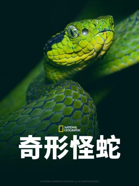 暗黑网《奇形怪蛇》免费在线观看