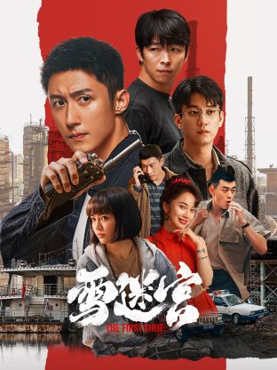 暗黑网《雪迷宫》免费在线观看